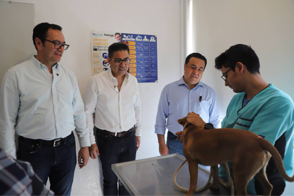 Habrá vacunación antirrábica en delegaciones del municipio de Querétaro