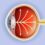 La Secretaría de Salud conmemora el Día Nacional del Glaucoma