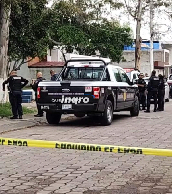 AUDIO: Joven había ya egresado de COBAQ: Bolaño