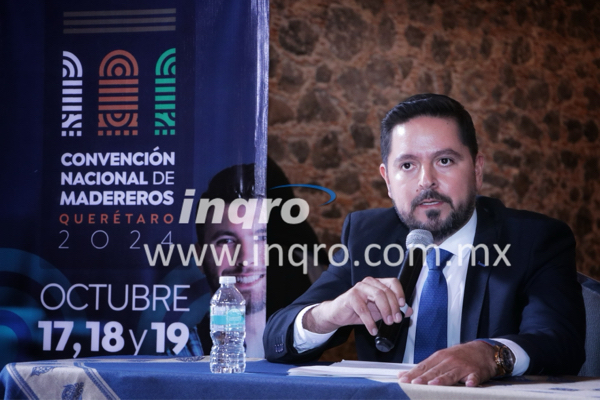 Industria maderera en Querétaro registra un crecimiento en comercialización: Roberto Cruz