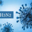 Influenza H3N2, la de mayor circulación