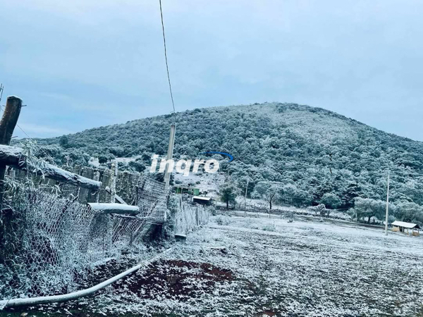 AUDIO: Caída de nieve en la Sierra Gorda no generó afectaciones