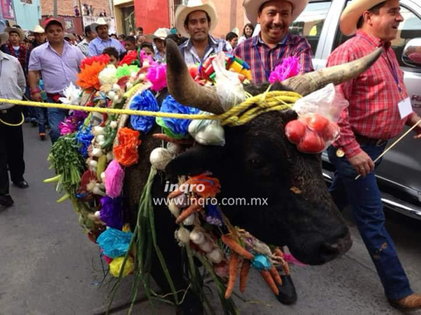 Serán cuatro o cinco los bueyes que se sacrifiquen en las fiestas de El Pueblito: Francisco Salinas