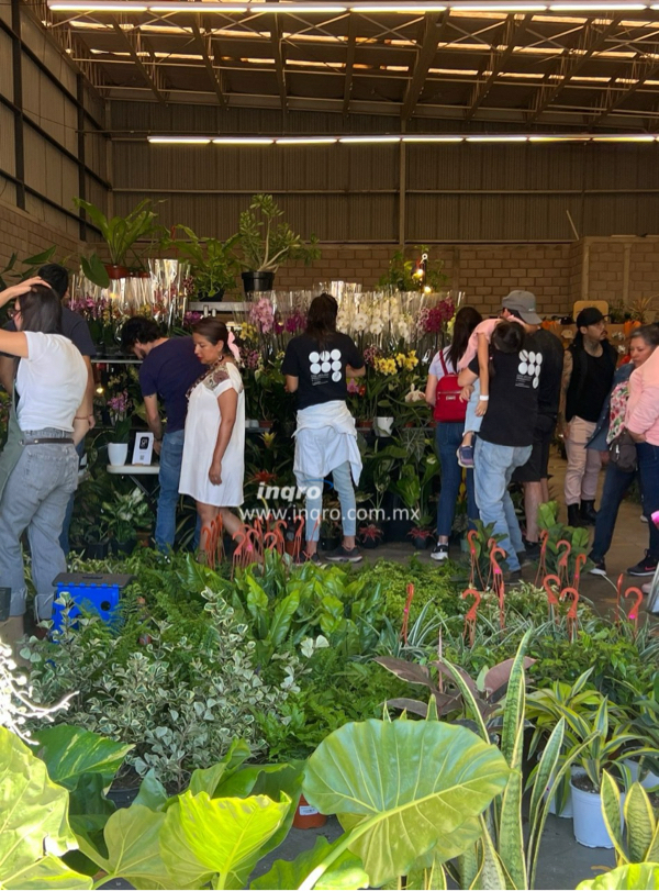 Realizan cuarta edición del Plant Fest México 2025