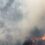 Huimilpan iniciará reforestación para recuperar espacios dañados por incendios