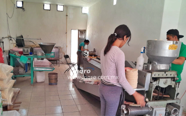 Inviable que tortillerías de Querétaro forme parte del pacto nacional para reducir 5% el precio del kilo de tortillas: Camilo Barrios