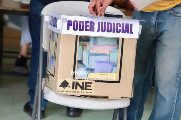 Participación ciudadana, entre el 10 y 11 por ciento: INE