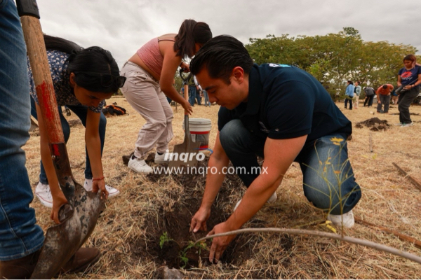 Planta municipio de Querétaro más de 2 mil árboles nativos: María Espinosa