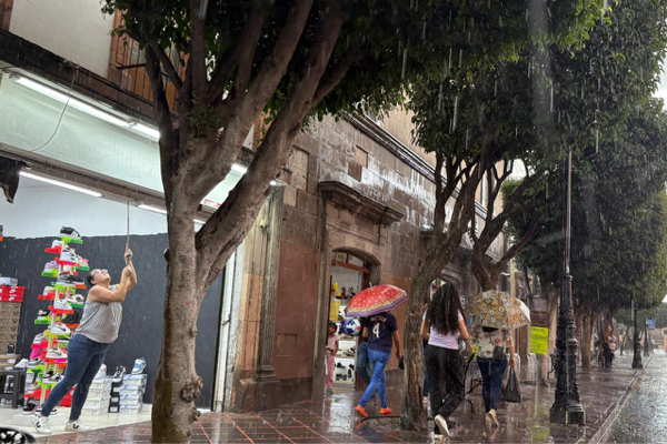 Afectadas por lluvias mil 800 unidades económicas: Alejandro Sterling