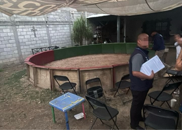 AUDIO-No se ha autorizado venta de alcohol para eventos de peleas de gallos: Gudiño